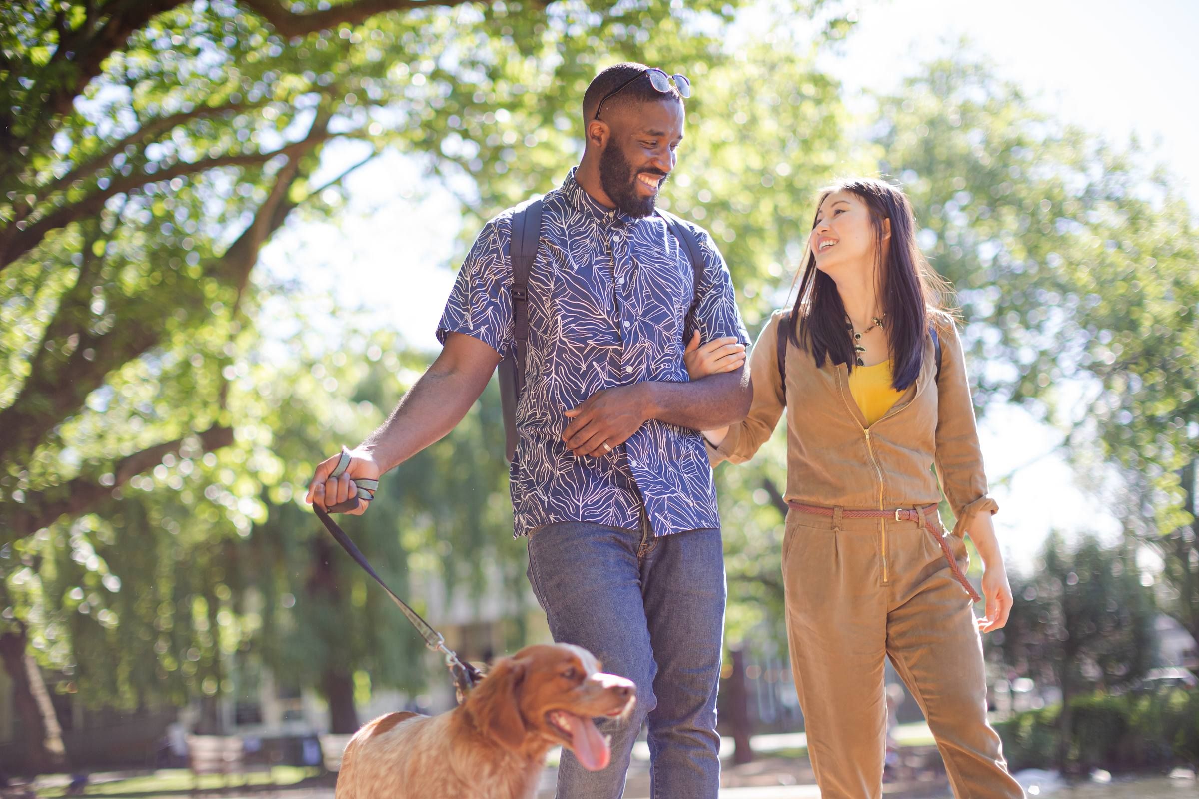 Happy young couple walking dog in a sunny park
