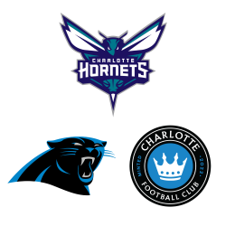 Charlotte Hornets logo